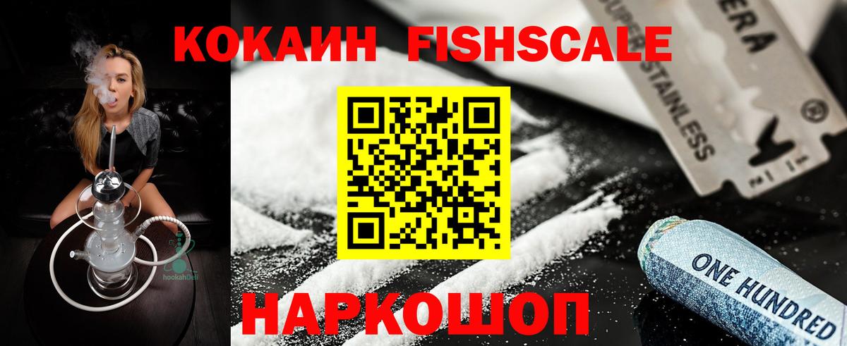 COCAIN Fish Scale  Вход с VPN  Узловая 