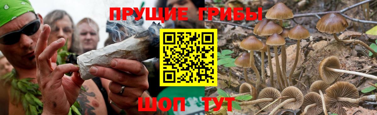 Узловая  Галлюциногенные грибы Magic Shrooms  наркошоп  Галлюциногенные грибы MAGIC MUSHROOMS  Вход с VPN 